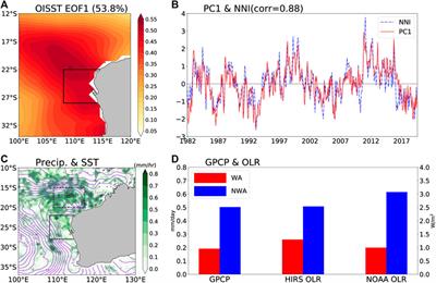 Precipitation and the Associated Moist Static Energy Budget off Western Australia in Conjunction with Ningaloo Niño